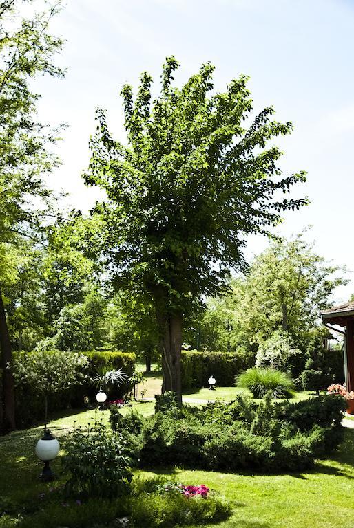 Vila Dincic Doo Veliko Gradište Exterior foto